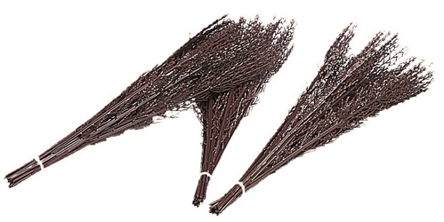 Bouquets de bouleau pour haie (paquet de 15 brins)