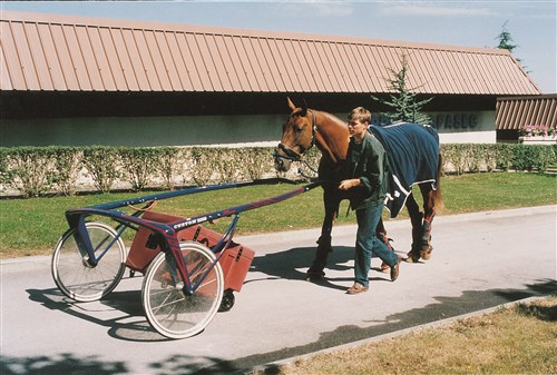 Malle roulante pour trotteurs grenat