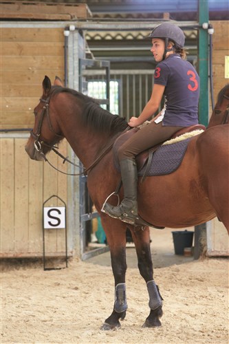 Jeu de lettre de dressage (12 lettres) métal