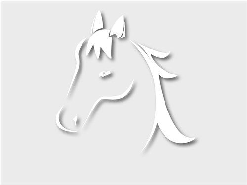 Autocollant design, Tête de cheval blanc, environ 40x40cm