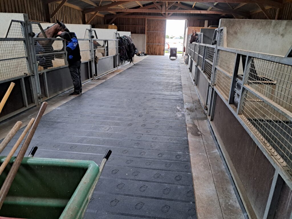 TAPIS MAJOR