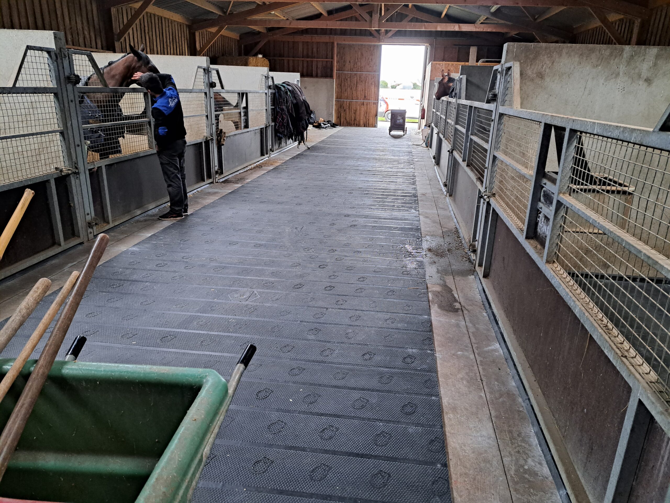 TAPIS MAJOR