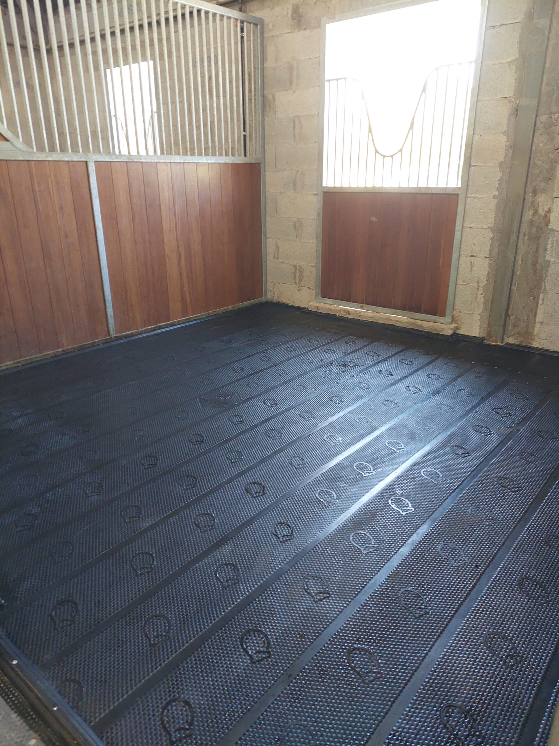 TAPIS MAJOR – Image 3