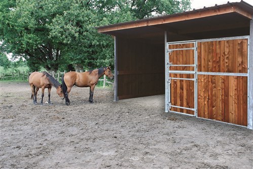 Extension d'abri 4,09x4,18 Clin Douglas 42 mm Bordeaux