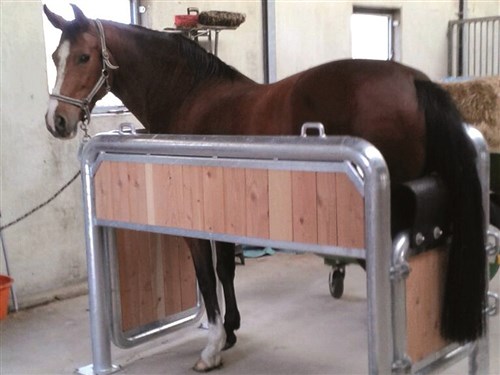 Boîte de traitement pour chevaux 105 L x 209 L x 130 H cm