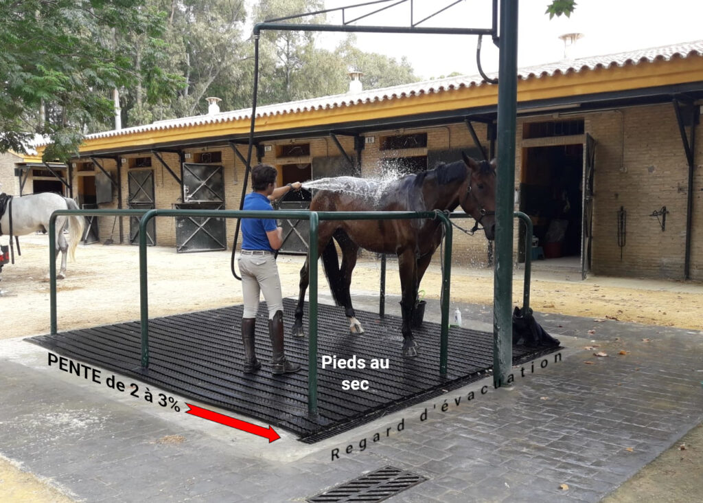 MAGELLAN TAPIS