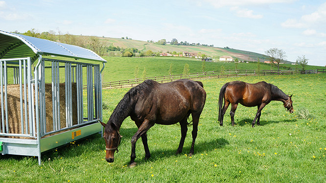 RATELIER 4 FACES TYPE CHEVAL
