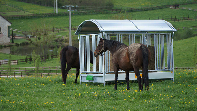 BIGBALL TYPE LS CHEVAL